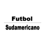 icon Futbol Sudamericano(Futbol Sudamericano
)