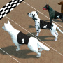 icon Dog Racing (Balap Anjing)