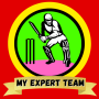 icon My Expert Team(Tim Ahli Saya
)