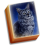 icon Cat Tailz(Mahjong Tersembunyi Ekor Kucing: CatApp Gratis)