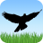 icon Bird Sounds(Suara Burung) 1.2.3