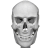 icon Human skeleton Anatomy(Sistem Osseous dalam 3D (Anatomi)) 3.5.1