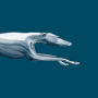 icon Greyhound(Greyhound: Beli Tiket Bus)