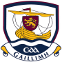 icon Galway GAA()