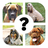 icon QUIZ: Razas de perro(SEMUA KUIS: Razas de perro
) 8.4.4z