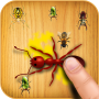 icon AntSmasherGame(Ant Smasher Game)