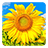 icon Golden Sunflower Live Wallpaper(Golden Sunflower LWP) 3.1