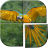 icon Bird Picture Puzzle Games (Bird Puzzle Games temperatur) 1.7