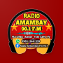 icon Radio Amambay 90.1 FM (Radio Amambay 90.1 FM
)